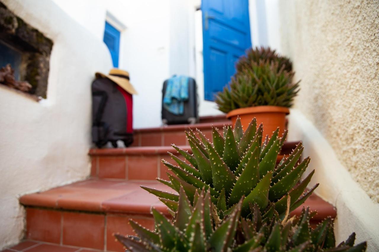 Holiday home Bougainville House *